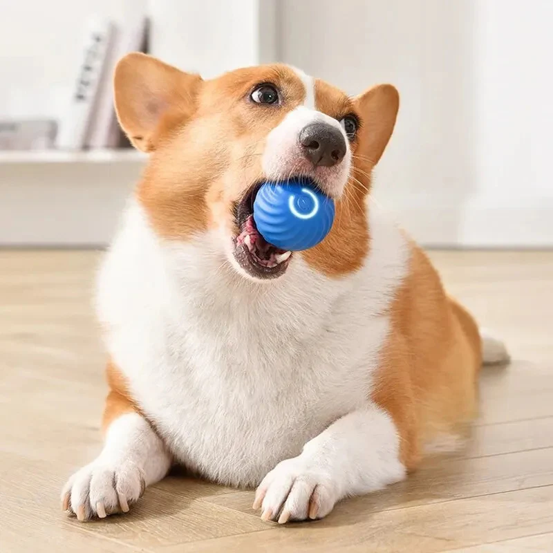 PawsMotion™ | Interaktiver Spielball für Haustiere - Image 3