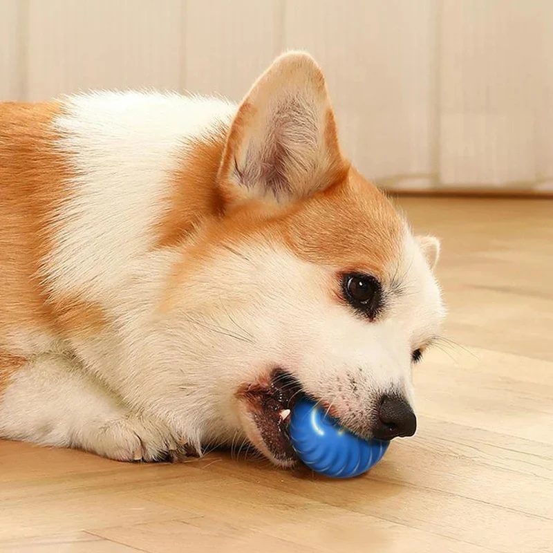 PawsMotion™ | Interaktiver Spielball für Haustiere - Image 4