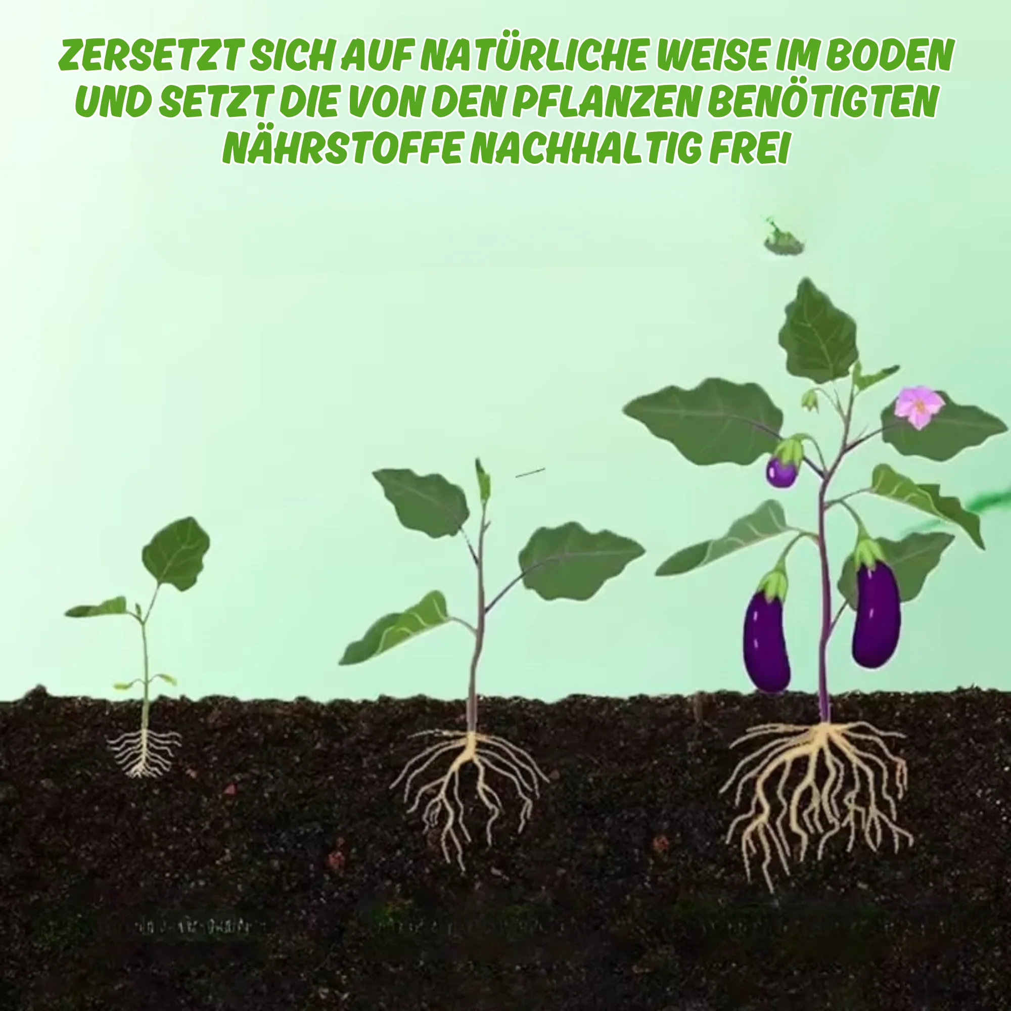 SoilVita™ - Bio-Düngertabletten - Image 3