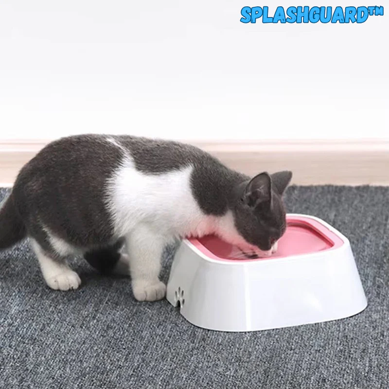 SplashGuard™ | Anti-Splash Napf für Haustiere